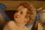 Polittico di Recanati angelo musicante dopo il restauro Polittico di Recanati angelo musicante dopo il restauro